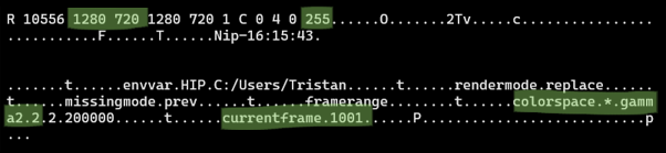 fplay TCP header